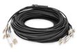 Digitus DK-2433CU050BK-BBB InfiniBand et câble fibre optique 50 m LC U-DQ(ZN) BH Noir