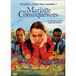 Gie Sphe Tf1 Video Mariage & Consequences NL