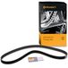 ContiTech CT846 verdeelriem