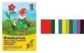 Rayher Hobby fotokarton, DIN A3, 29,7 x 42,0 cm, 300 g/m2, blok 10 vellen, 10 kleuren gesorteerd, kleurrijk, kartonnen papier A3