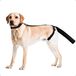 Protection de queue pour chien avec harnais réglable pour la convalescence