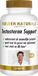 Golden Naturals Testosteron Support - 60 veganistische tabletten