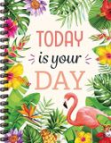 Icecat Today is your day