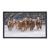 Viquel - Decoratieve bureauonderlegger Pony – bureaubescherming voor kinderen of volwassenen – 59,5 x 36,2 cm – zwart