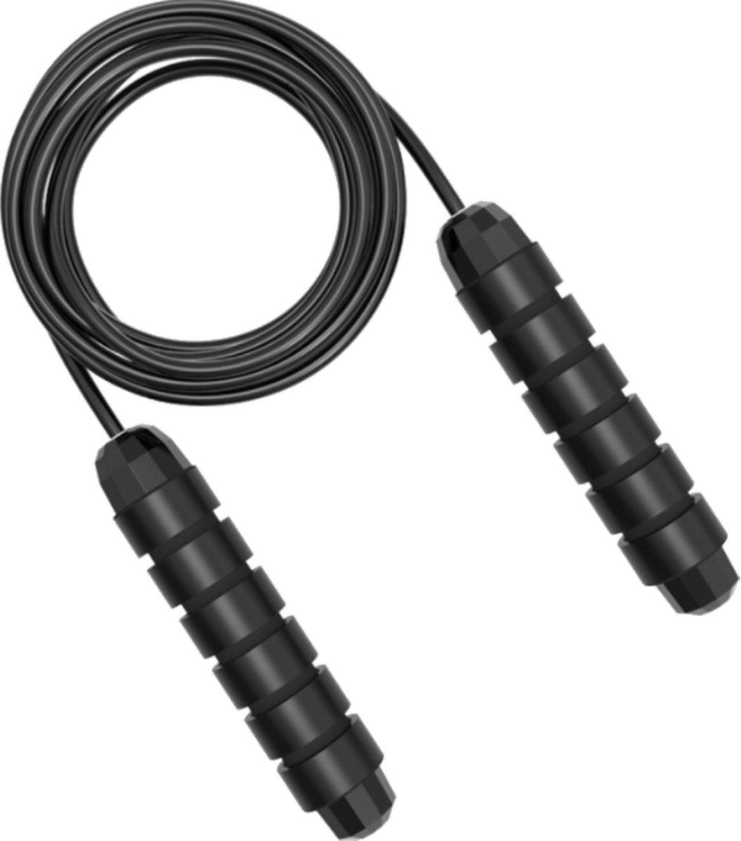 WM Sports Verzwaard Springtouw - Zwart - Verstelbaar - 280 cm