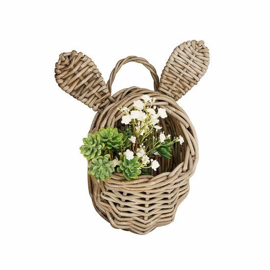 LOBERON Mand Frances bruin