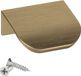 SOTECH 10 stuks meubelgrepen deken Tommy messing look geborsteld 40 mm