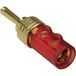 BKL Electronic 0106006 Fiche banane, droit Ø broche : 4 mm Rouge 1 pièce