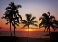 Komar Fotobehang - Hawaii 368x254cm - Papierbehang