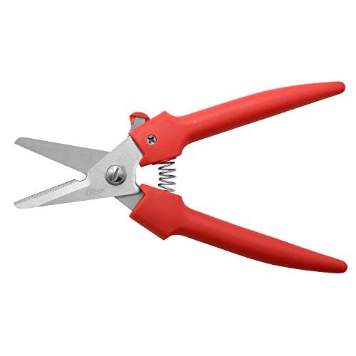Clauss Bloemenschaar - 19 cm - Rood - 33503