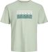 JACK&JONES JCOFUSION DOTS PRINT TEE SS CREW SN Heren T-shirts S Aqua Gray