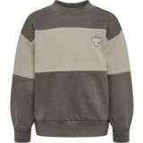 hummel hmlMINI LOOSE BLOCK SWEATSHIRT