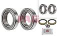 FAG 713 6903 30 Wheel Bearing Kit