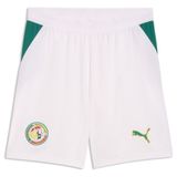PUMA Sportbroek 'Senegal' geel / groen / rood / wit