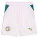 PUMA Sportbroek 'Senegal' geel / groen / rood / wit