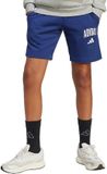 Adidas Sportswear Seasonals Essentials Collegiate Typography Short Kids - Blauw