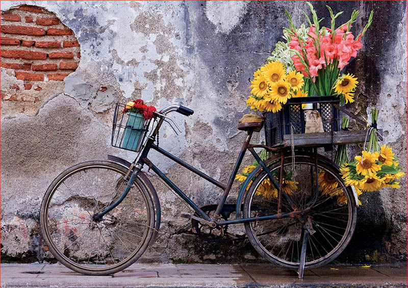 Educa Bicycle with flowers - 500