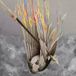 Paper Wings - Henrietta - LP