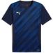 Puma Kindertrui teamGoal Graphic
