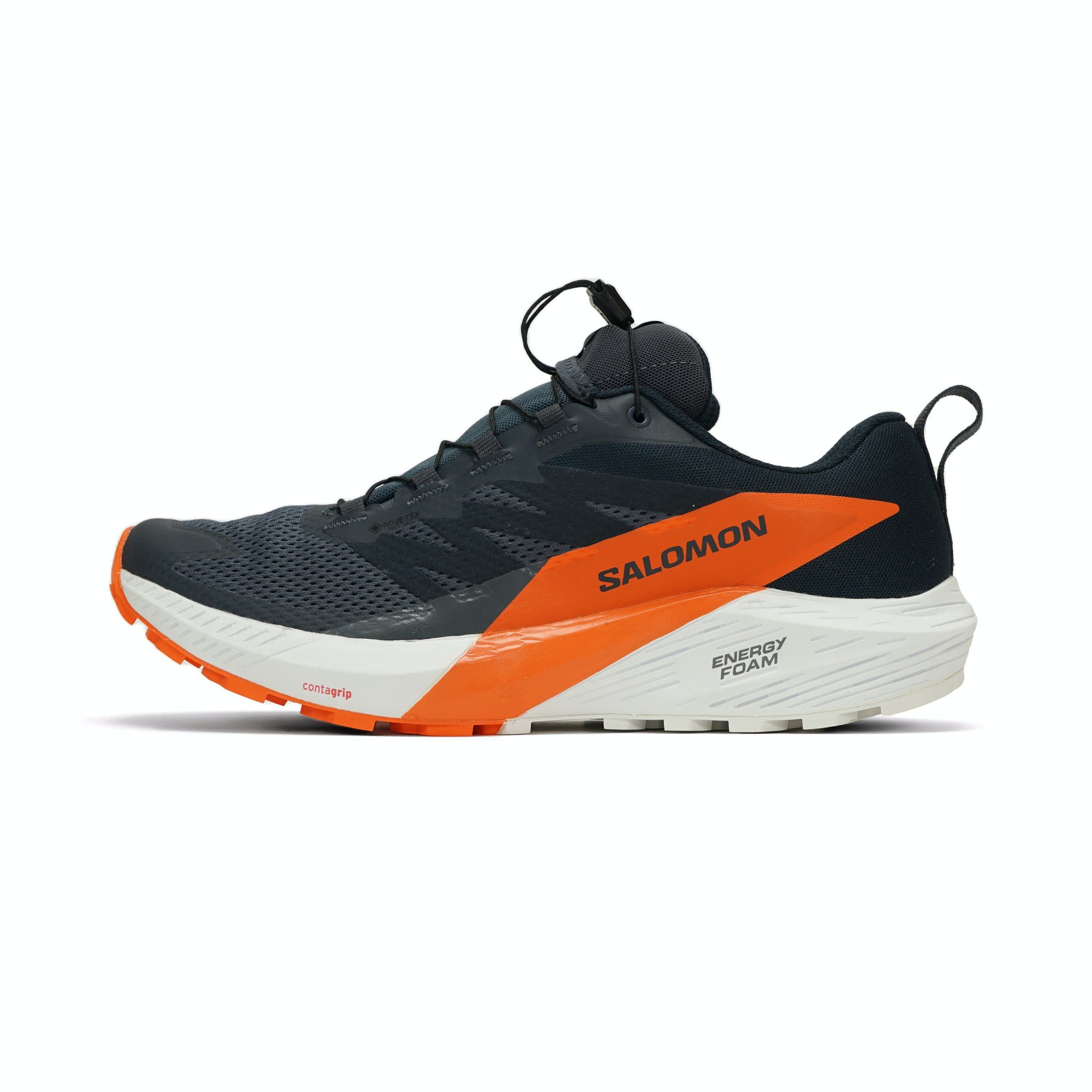 Salomon Sense Ride 5 GTX Heren