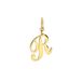 Lucardi Dames Stainless steel goldplated letterhanger - R - Goudkleurig