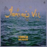 Suburban Torgeir Waldemar Jamais Vu