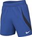 NIKE heren Shorts M Nk Dfadv Vapor Iv Short K
