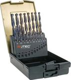 Rotec 19-dlg. Spiraalborenset type 101 in ABS-cassette