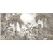 Papier peint panoramique Forêt tropicale 390 cm x 198 cm