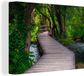 Toile Peinture Forêt - Nature - Pont - 80x60 cm - Vert - Moderne - Décoration murale