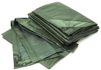 0 0 Rainexo Afdekzeil, 6 x 10 m, groen