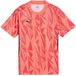 PUMA Individualfinal Ff, Jersey Jr Uniseks Volwassen Voetbal Shirt