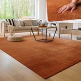 Paco Home Moderne woonkamer tapijt kortpolig wasbaar zacht uni effect bont antislip 60x100 cm
