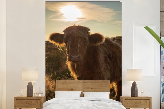 Nr1Wallpaper Behang - Fotobehang Schotse Hooglander - Zonsondergang - Gras - Breedte 155 cm x hoogte 240 cm