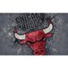 Chicago Bulls Papier Peint Panoramique Basket-ball - 195 cm x 122 cm