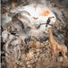 Papier peint panoramique jungle animaux