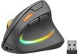 Speedlink PIAVO PRO Souris Verticale - Droitier - RF Sans Fil - Optique - 3200 DPI - Noir