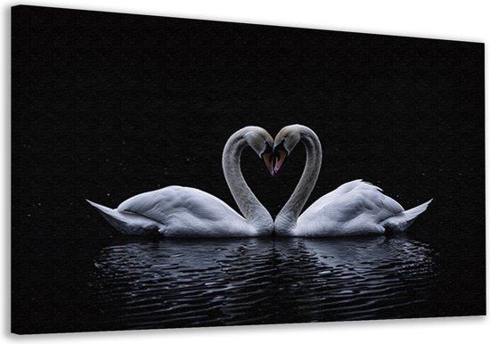 Merkloos / Sans marque Swan Painting - Animal Paintings - Canvas Paintings Water - Country Wall Decoration - Canvas - Bedroom Wall Decoration Canvas 70x50 cm