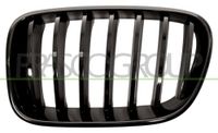 PRASCO BM8052004 frontgrillspoiler