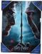 SD Toys Harry Potter Glass Poster Harry & Voldemort 30 x 40 cm