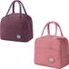 Non-branded Small cooler, 2 pieces, 6.2 l, double-layer, thickened lunch bag, foldable, suitable for picnics, office, school