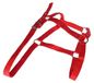 Halter réglable pour cheval avec longe