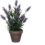 Mica Decorations Lavendel Plante artificielle dans un pot Stan - H33 x Ø20 cm - Bleu