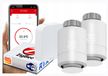 Tuya 2x RTX Tête de thermostat + passerelle Zigbee WLAN Set