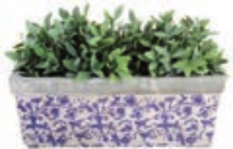 Esschert Design AC29 Plantenbak - Rechthoekig - Multi