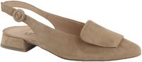 Paul Green 6090 Pumps Taupe Nubuck Rubber Blokhak Gesp Puntige neus