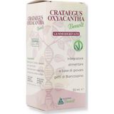 Alchimia Benoit Crataegus Oxyacantha Gemmoderivato 50ml