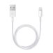 Apple Câble Lightning vers USB - 0,5 m - Blanc