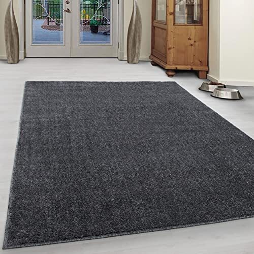 Giantore Uni laagpolig tapijt woonkamer slaapkamer plat tapijt