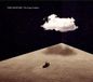 Capsules - The Long Goodbye